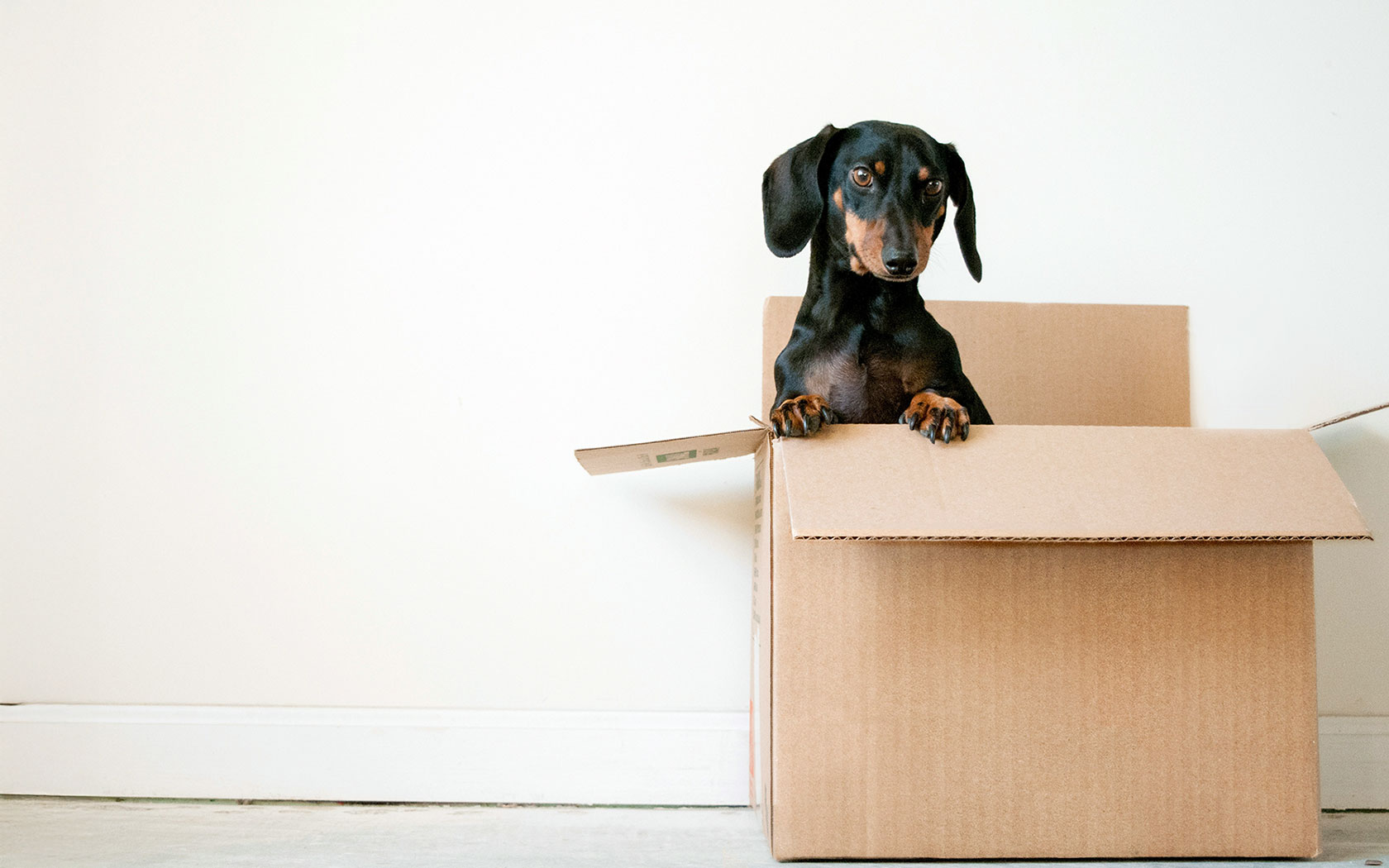 Wir ziehen um! Physiotherapiepraxis Tuncel: Neue Website 2021