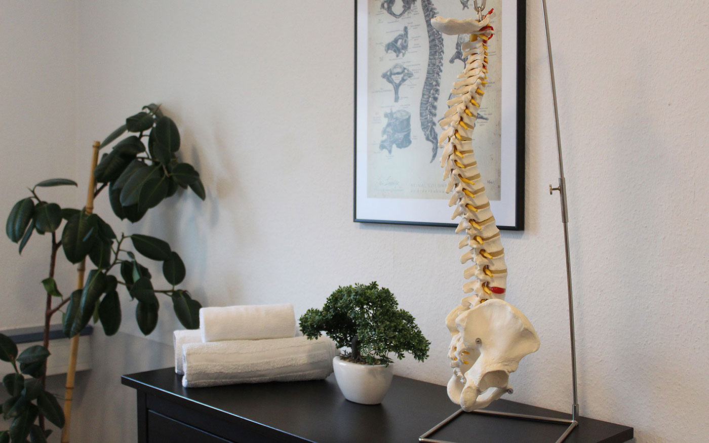 Physiotherapiepraxis Tuncel Heidenheim: Dekoration 